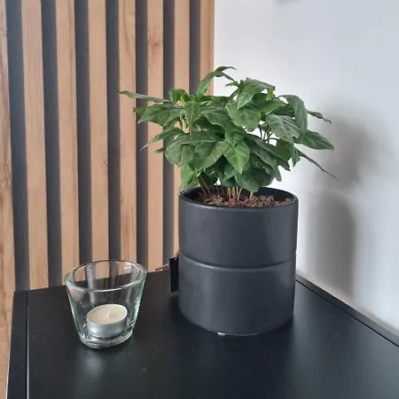 W Centrum, Bezplatny Parking *